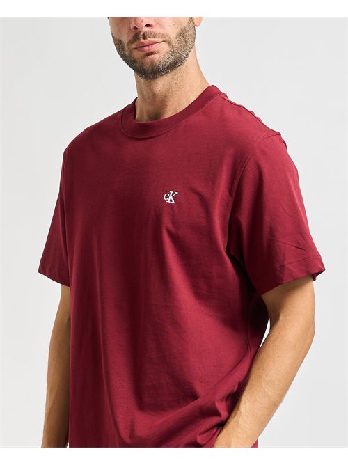 T-shirt uomo Calvin Klein basic girocollo CALVIN KLEIN | LV04RC275GWCV